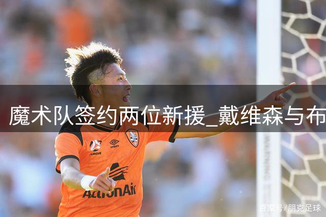 魔术队签约两位新援 戴维森与布兰纳姆加盟